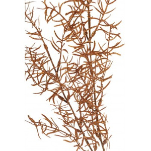 Roślina sztuczna - asparagus copper_Aluro