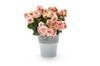 OSŁONKA AŻUROWA do kwiatów ROSA MIĘTA 130 H:13,5cm
