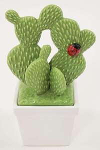 Pojemnik  Kaktus