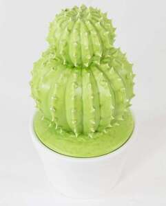 Pojemnik Kaktus-Prom. kolor zielony wys.21,5cm